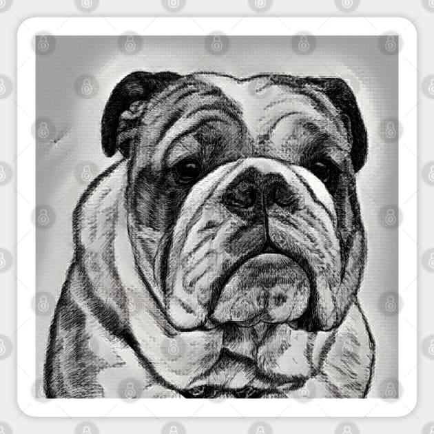 British Bulldog, Traditional Bulldog Art Sticker by LizTodd